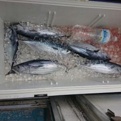 清和丸 釣果