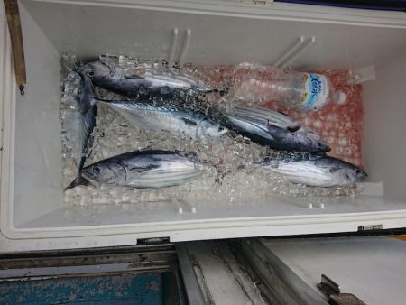 清和丸 釣果