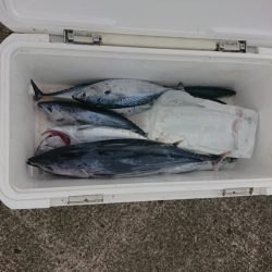清和丸 釣果