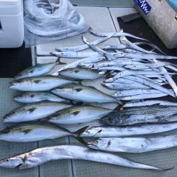 エムズジャーク(M’s JERK) 釣果