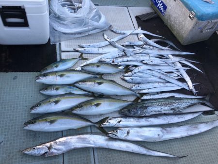 エムズジャーク(M’s JERK) 釣果