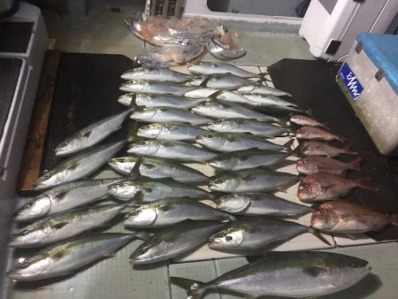 エムズジャーク(M’s JERK) 釣果