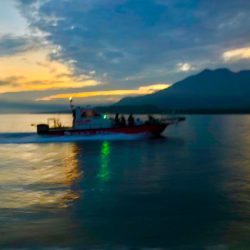 龍神丸（鹿児島） 釣果