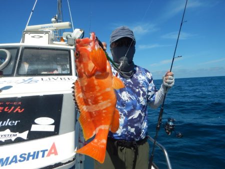 きずなまりん 釣果