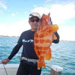 きずなまりん 釣果