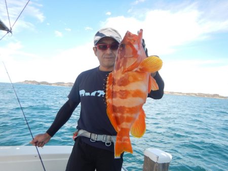 きずなまりん 釣果