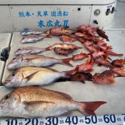 末広丸(熊本) 釣果