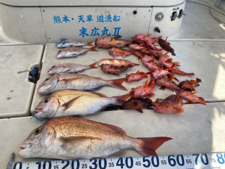 末広丸(熊本) 釣果