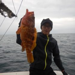 きずなまりん 釣果