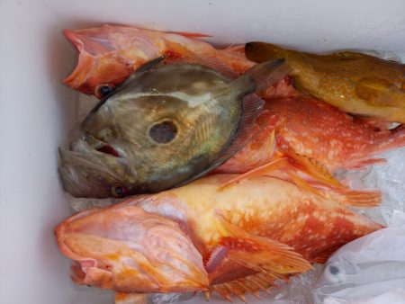 第二龍勢丸 釣果