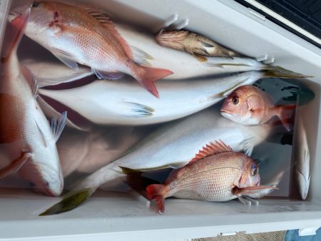 龍神丸(鹿児島) 釣果