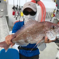 ランスルー 釣果