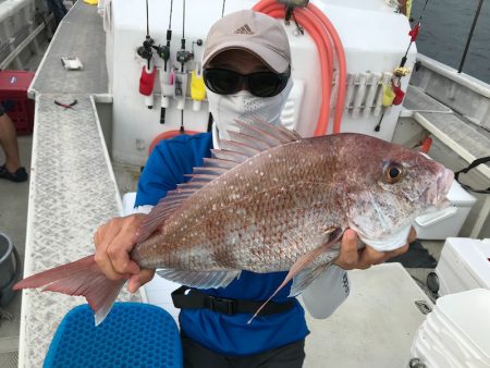 ランスルー 釣果