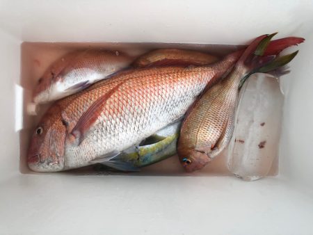 第二八坂丸 釣果