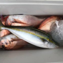 第二八坂丸 釣果