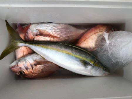 第二八坂丸 釣果