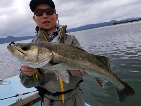 アマテラス 釣果