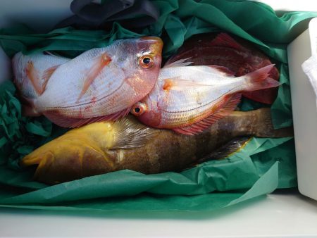 海龍丸(石川) 釣果