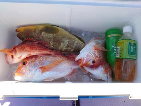 海龍丸(石川) 釣果