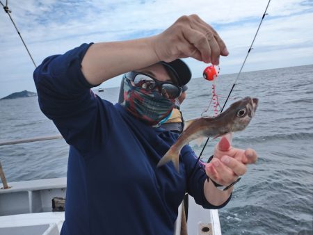 ありもと丸 釣果