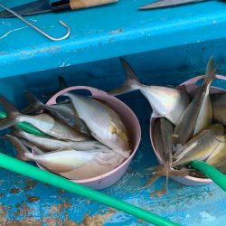ぽん助丸 釣果