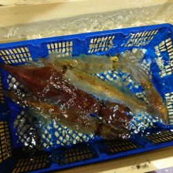 海龍丸（石川） 釣果