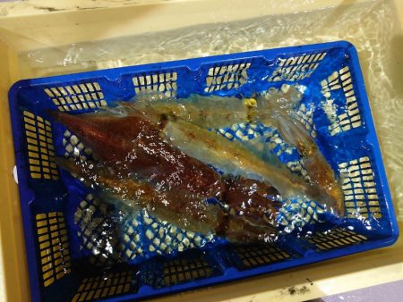 海龍丸（石川） 釣果