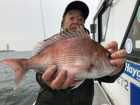 ランスルー 釣果