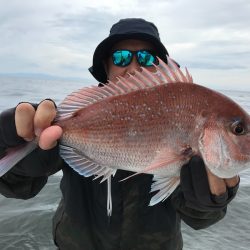 ランスルー 釣果