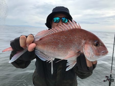 ランスルー 釣果