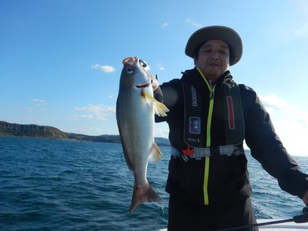 きずなまりん 釣果