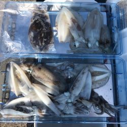 遊漁船高橋 釣果