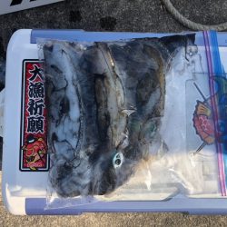 遊漁船高橋 釣果