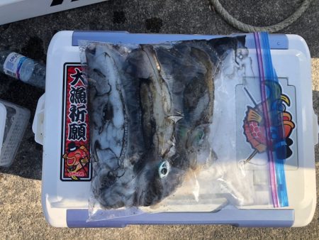 遊漁船高橋 釣果