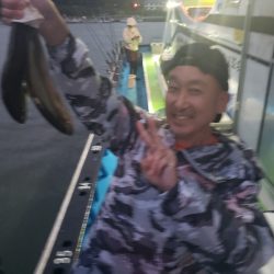 丸万釣船 釣果