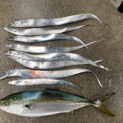 龍神丸(鹿児島) 釣果