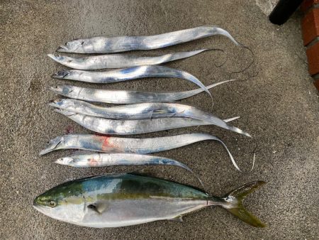 龍神丸(鹿児島) 釣果
