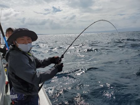 シーライオン 釣果