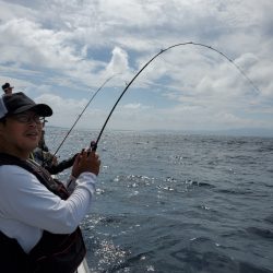 シーライオン 釣果