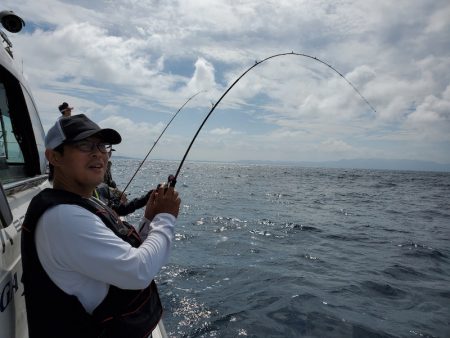 シーライオン 釣果