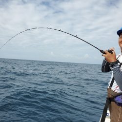 シーライオン 釣果