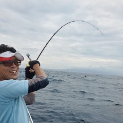 シーライオン 釣果