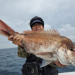 シーライオン 釣果