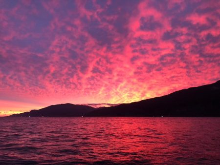 第二　つれたか丸 釣果