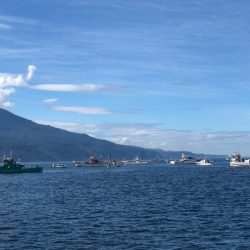 第二　つれたか丸 釣果