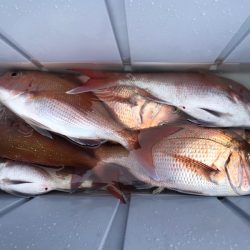 第二八坂丸 釣果