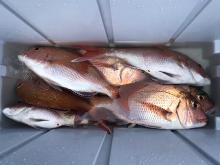 第二八坂丸 釣果