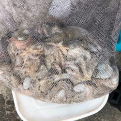 遊漁船高橋 釣果