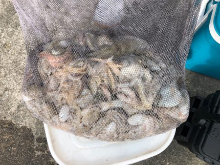 遊漁船高橋 釣果