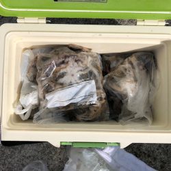 遊漁船高橋 釣果